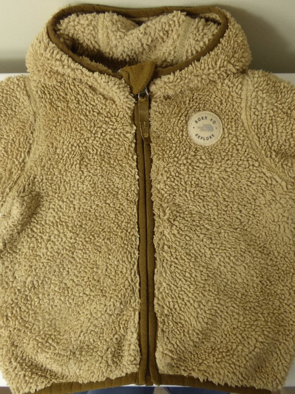 The North Face Baby Tan Campshire Fleece Hoodie, Size 18-24 Months